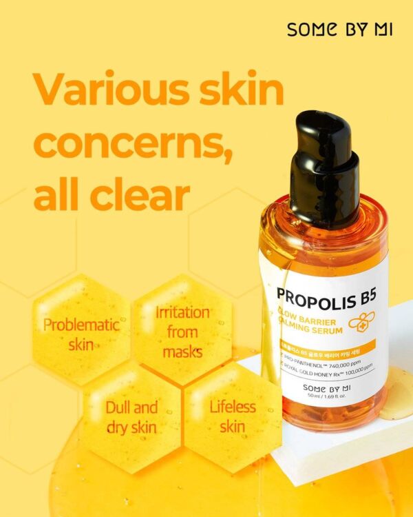 Some-By-Mi-Propolis-B5