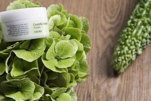 products Cosrx centella blemish cream 2